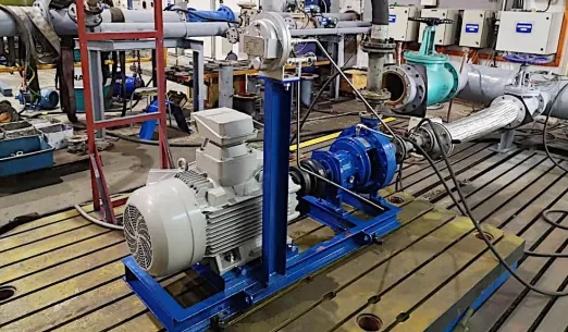 Leakless pump coupled to a motor on the in-house test bed